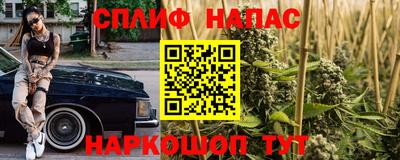 гашик Туймазы