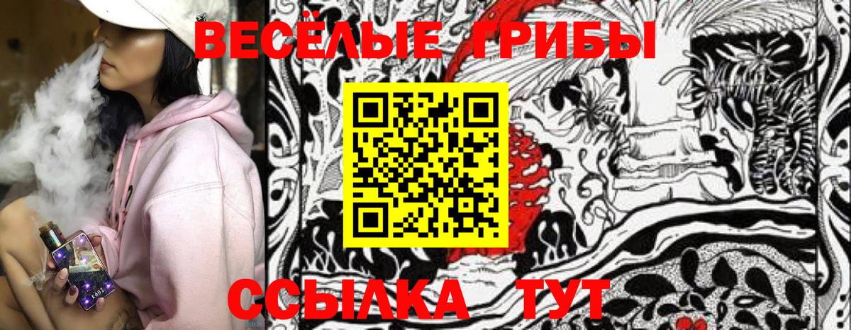 Псилоцибиновые грибы Psilocybine cubensis Алейск