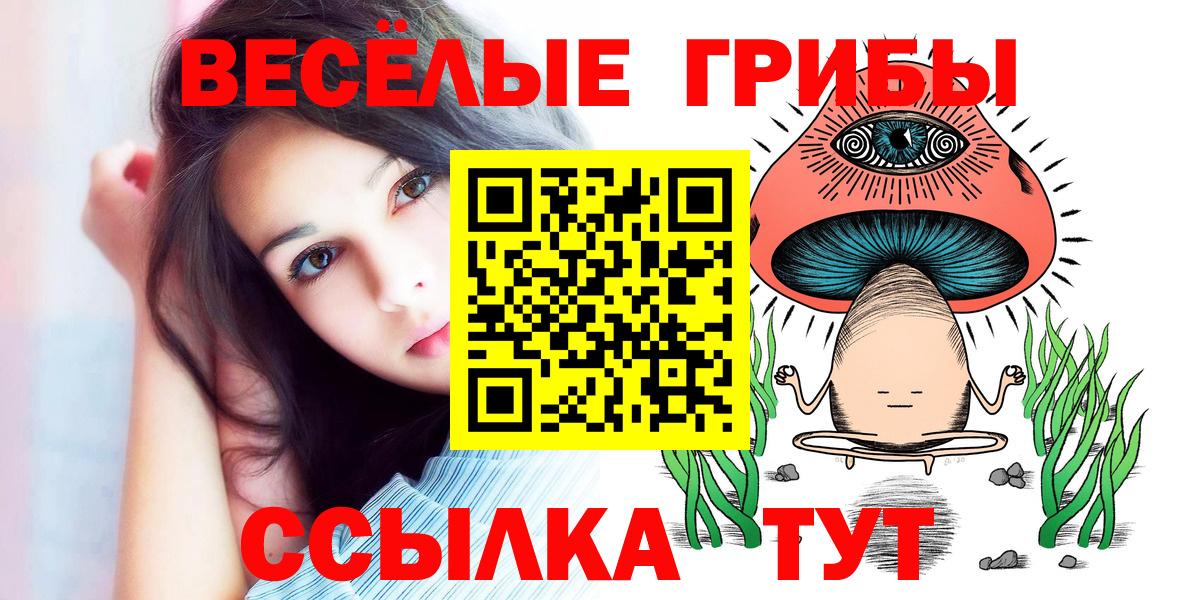 Галлюциногенные грибы мицелий  Вход с VPN  Алейск 